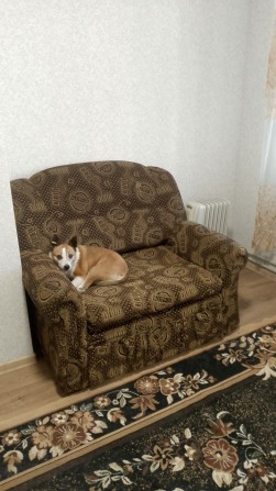 Оренда  квартири - фото 1