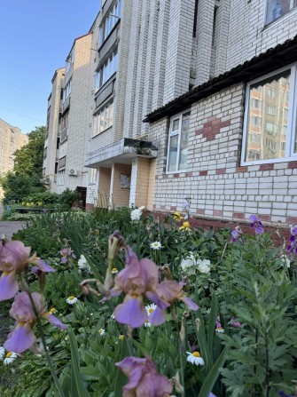Продам 3-х кімнатну квартиру - фото 1