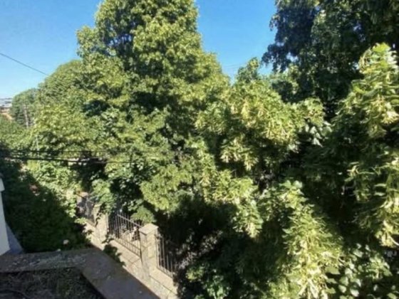 Продаж квартири у самому Центрі Міста вул.Яна Гуса ЕКСКЛЮЗИВНА ПРОПОЗИЦІЯ У ЦЕНТРІ МІСТА