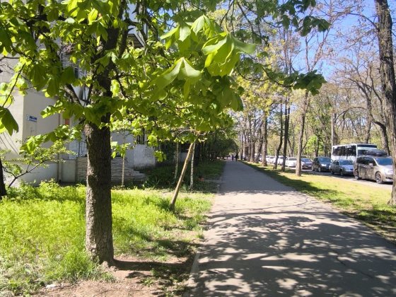 Квартира напротив парка Твена, в кирпичном доме Одеса