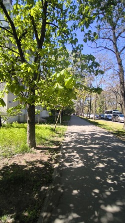 Квартира напротив парка Твена, в кирпичном доме - фото 1