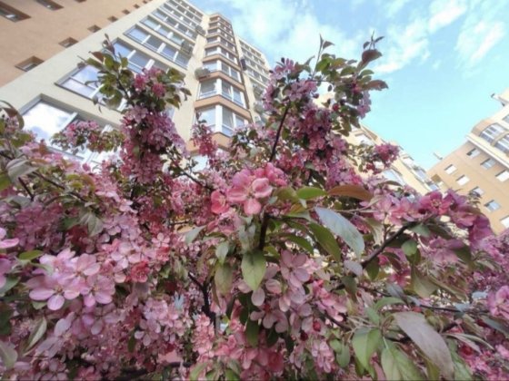 ‼️Єркерная43м2 С перепланировкой в Євродвушку 47,500$ Софіївська Борщагівка