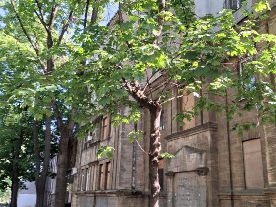 Квартира , СТАЛІНКА , в самому серці міста Николаев