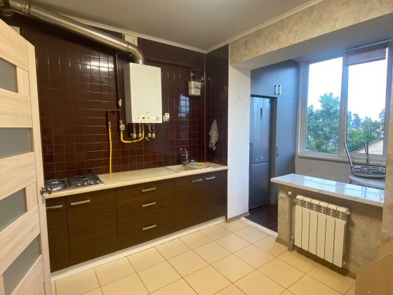 Оренда 1 к. квартири з ремонтом. Газ.Центральний парк, вулиця Лісова