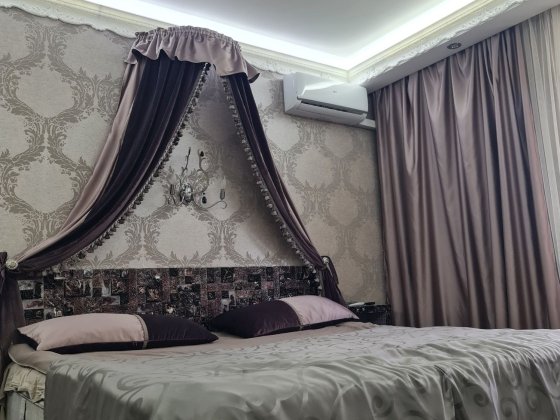 Оренда 1 кімнатної квартири по Пров. Павла Лі 2-і, Голосіївський р-н, 1 поверх Киев
