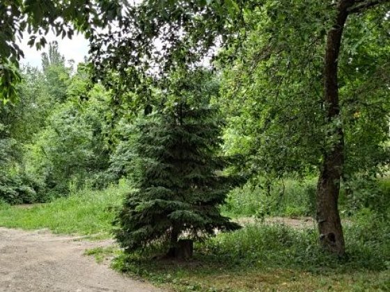 Власник!!! Довгострокова оренда 2х кімнатної квартири (автономне опалення)