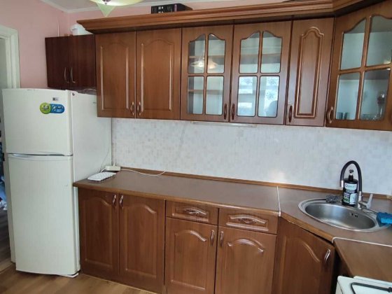 Простора квартира з кондиціонером, можливо з пухнастиком Житомир