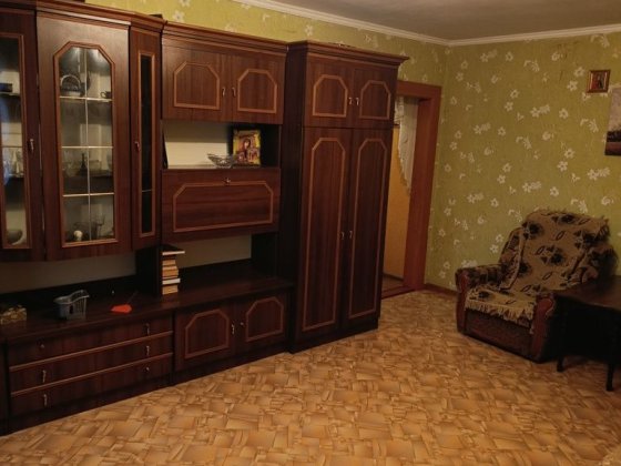 Аренда 2к квартиры с летней кухней в Весняном Николаев
