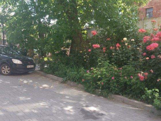 Сдам однокомнатную в Центре Одеса