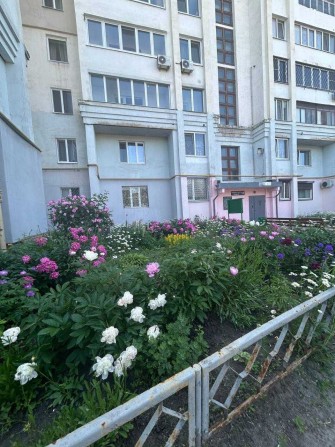 Здам в оренду 2х кімнатну квартиру з капітальним ремонтом, аресою вулиця Іскринська 17 - фото 1