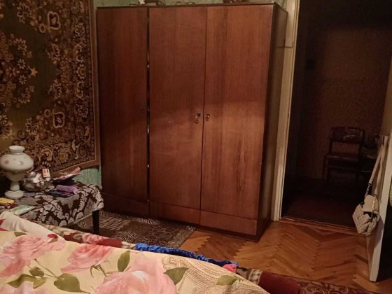 Комната без хозяев на проспекте Свободы,  Виноградарь