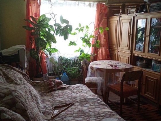 Здається кімната для дівчини в районі Проспекту Ужгород