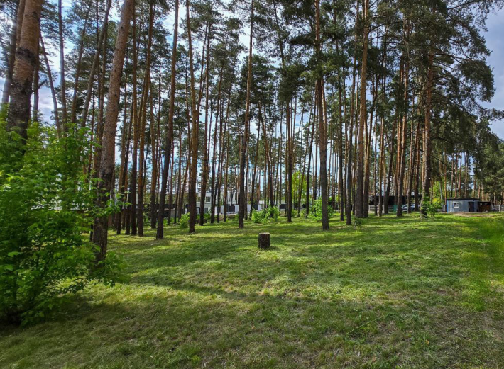 Продаж земельної ділянки під житлову забудову, 10 Га Київська обл. Без комісії. - фото 1