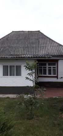 Здам будинок в місті Миргород - фото 1