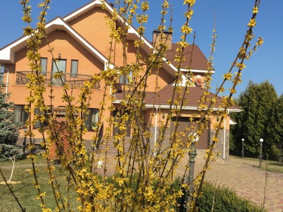 Здам будинок в оренду Киівська обл .село Рудики (Козин) Новая Украинка