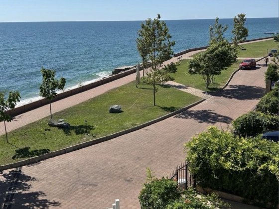 У самого моря Таласса  Совиньон Лиманка