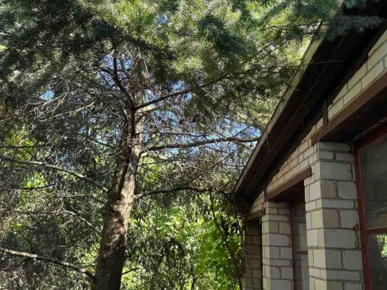 Здам в оренду будинок для робітників Заріччя Белая Церковь