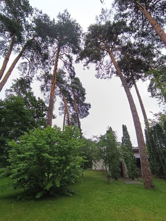Еко-Будинок в курортній локації - фото 1