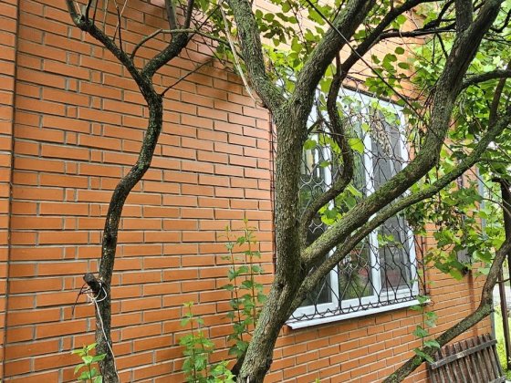 Будинок.  Дача. Метро Славутіч  .оренда. власник Київ