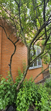 Будинок.  Дача. Метро Славутіч  .оренда. власник - фото 1