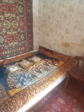 Здається житло, частина будинку. - фото 1