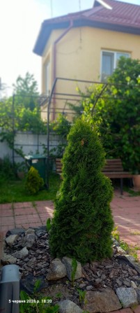 Оренда   3  кімнатного  будинку. - фото 1