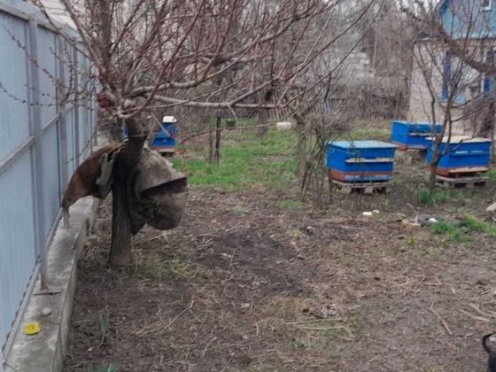 Оренда будинку  на Леваневського Запоріжжя