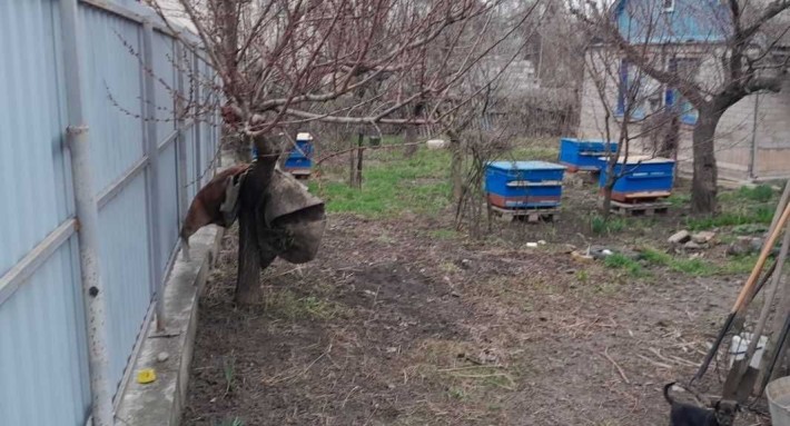 Оренда будинку  на Леваневського - фото 1