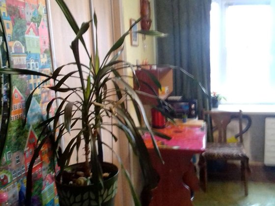 Продаю комнату в двухкомнатной  квартире  в районе Малого рынка Запоріжжя