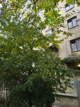 Продам выгодно комнаты на 2 ст. Фонтана! - фото 1