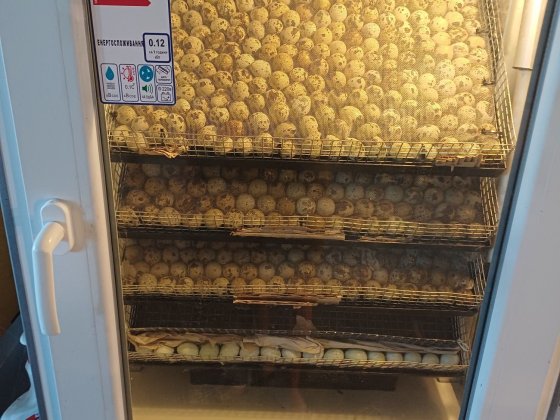 Продам або здам в аренду промислове приміщення де можно проживати та займатися бізнесом