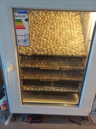 Продам або здам в аренду промислове приміщення де можно проживати та займатися бізнесом - фото 1