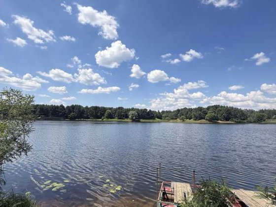 Ділянка сільськогосподарського призначення Вишгородський, Хотянівка, 520000 $.. Хотяновка