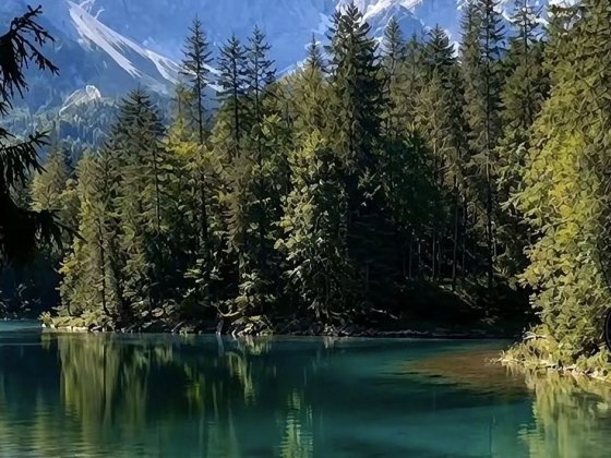 Здається 2 кімнатна поруч ліс та озеро. Мукачеве