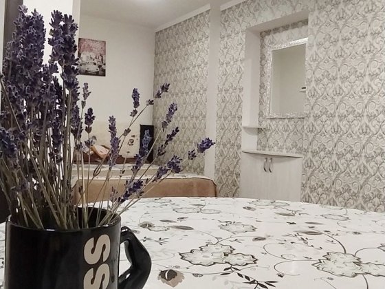 Здаю в оренду квартиру зі зручностями Угорники