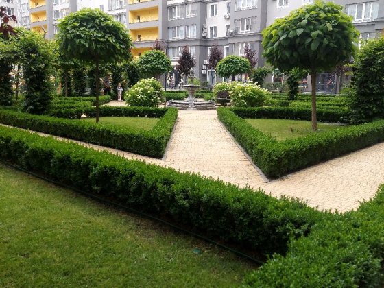 Здається 1 кімнатна квартира без комісії ( перша здача) Буча