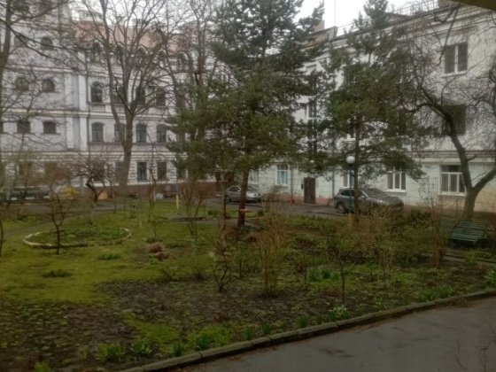 Здам  2-х кімнатну в центрі,власник Сумы