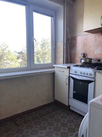 Оренда! 1к квартира вул. Василя Іваниса, Лісова, Чернігівська - фото 1