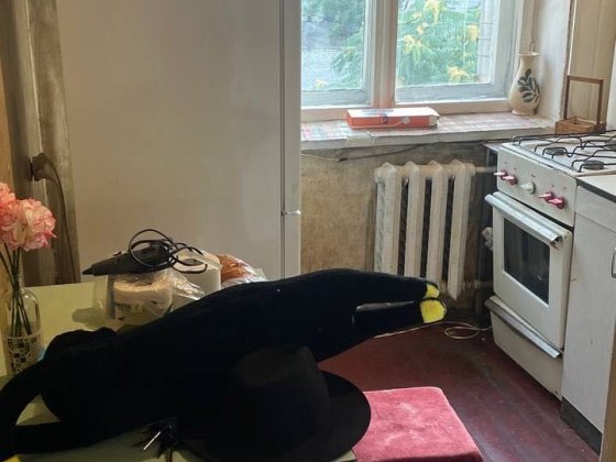 Сдам 2к.кв. Своя. Центр,цум, жилое.