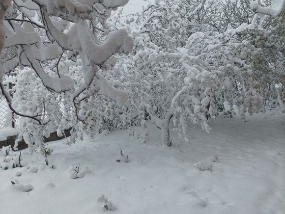 Здам квартиру 2-х кімнатну Миколаїв