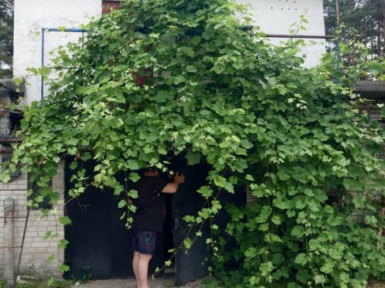 Продаж гаража, 3 рівні, 5*6м. Обухів