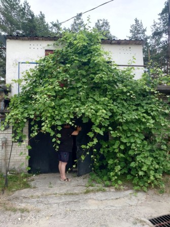 Продаж гаража, 3 рівні, 5*6м. - фото 1