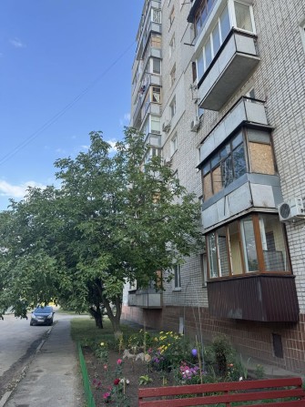 Здам сучасну 2х кімнатну квартиру з ремонтом - фото 1