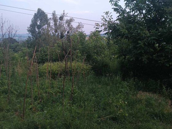 Гараж в 2 кооперативі 9/4, зона відпочинку Чернівці