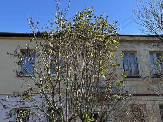 Оренда квартири. Вул. Гашека Львів