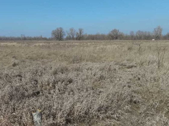 Ділянка сільськогосподарського призначення Броварський, Погреби, 15000 $.. Погребы
