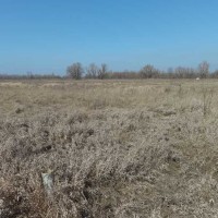 ділянка сільськогосподарського призначення Броварський, Погреби, 14000 $.. Погребы