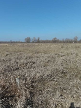 Ділянка сільськогосподарського призначення Броварський, Погреби, 15000 $.. - фото 1