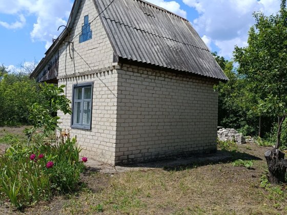 Продам дачу  біля води Олександрія