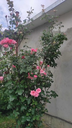 Продам будинок з гаражем, літня кухня, погріб - фото 1